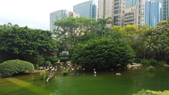 Parque Kowloon